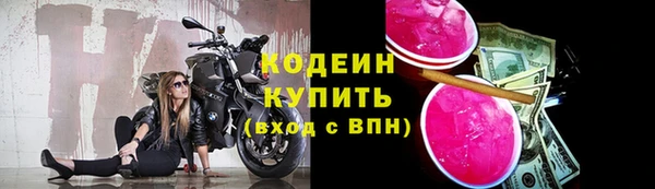 амф Пересвет