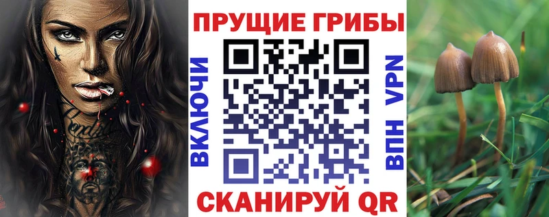 МЕГА вход  Оханск  Псилоцибиновые грибы Psilocybine cubensis 